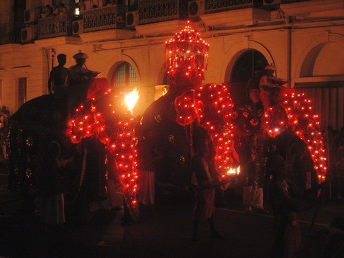 220917520_0903ebea83.jpg