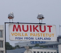Muikut - Fish from Lapland - Hèlsinki